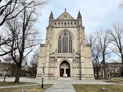 Business image 3