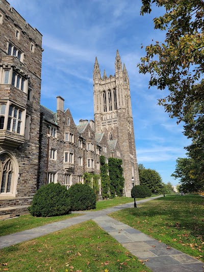 Business image 4