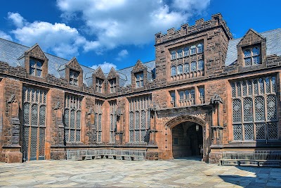Business image 6