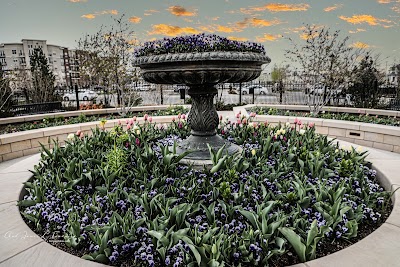 Business image 5