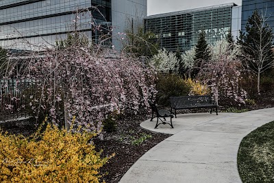 Business image 8
