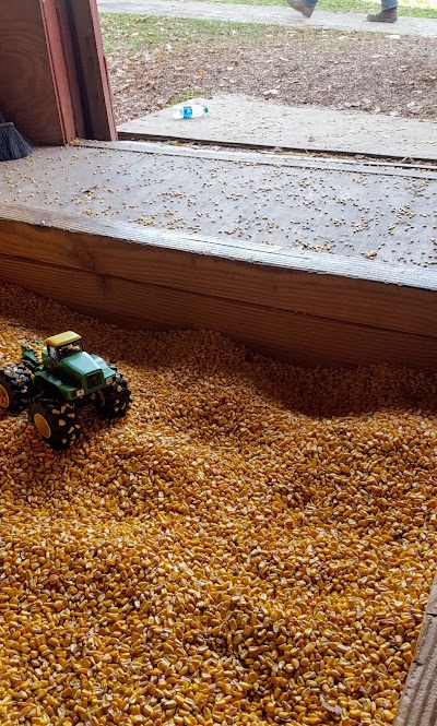 Business image 6