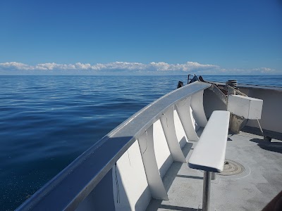 Business image 3