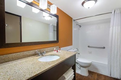 Business image 5