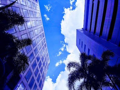 Business image 5