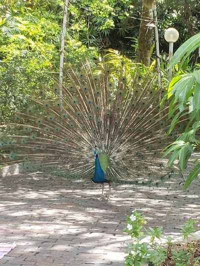 Business image 2