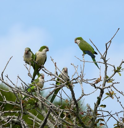 Business image 10