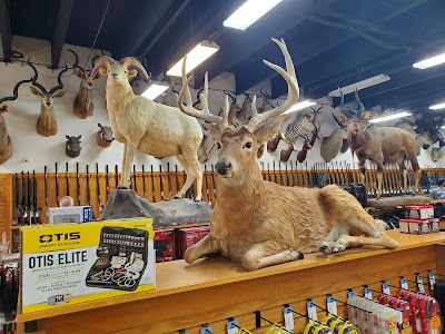 Business image 4