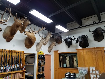 Business image 9