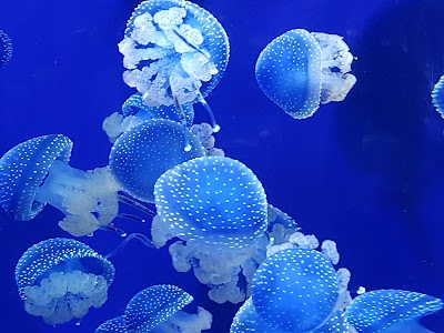 Business image 3