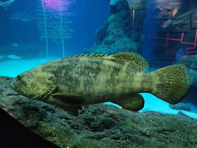Business image 4