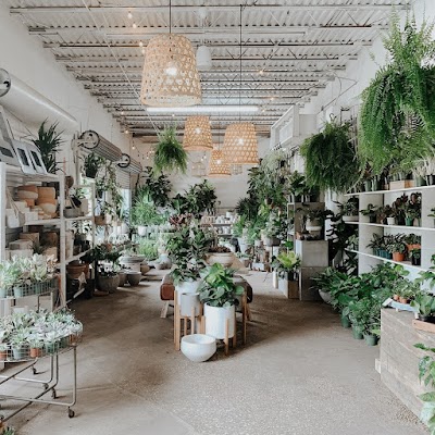 Business image 2