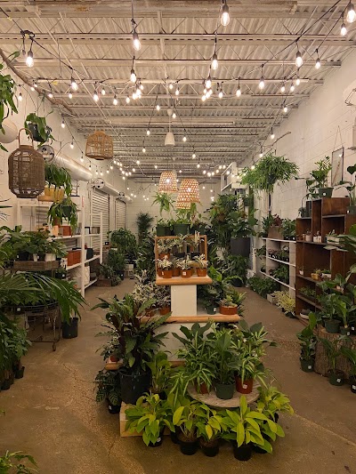 Business image 5