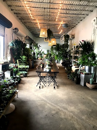 Business image 8