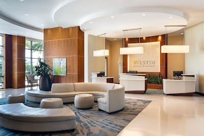 Business image 6