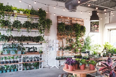 Business image 3