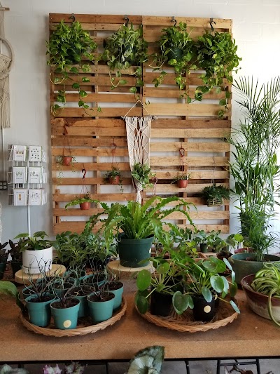 Business image 9