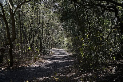 Business image 6