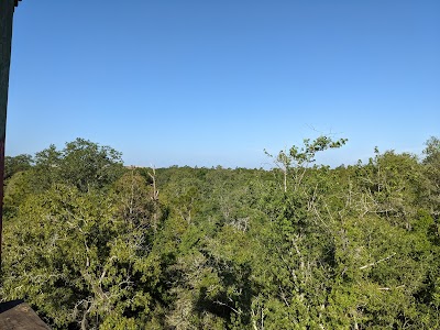 Business image 9