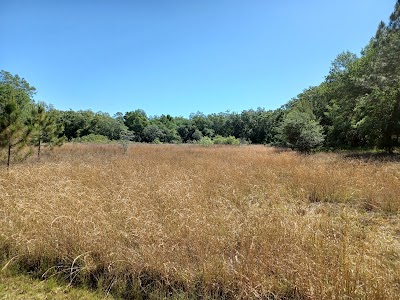 Business image 10